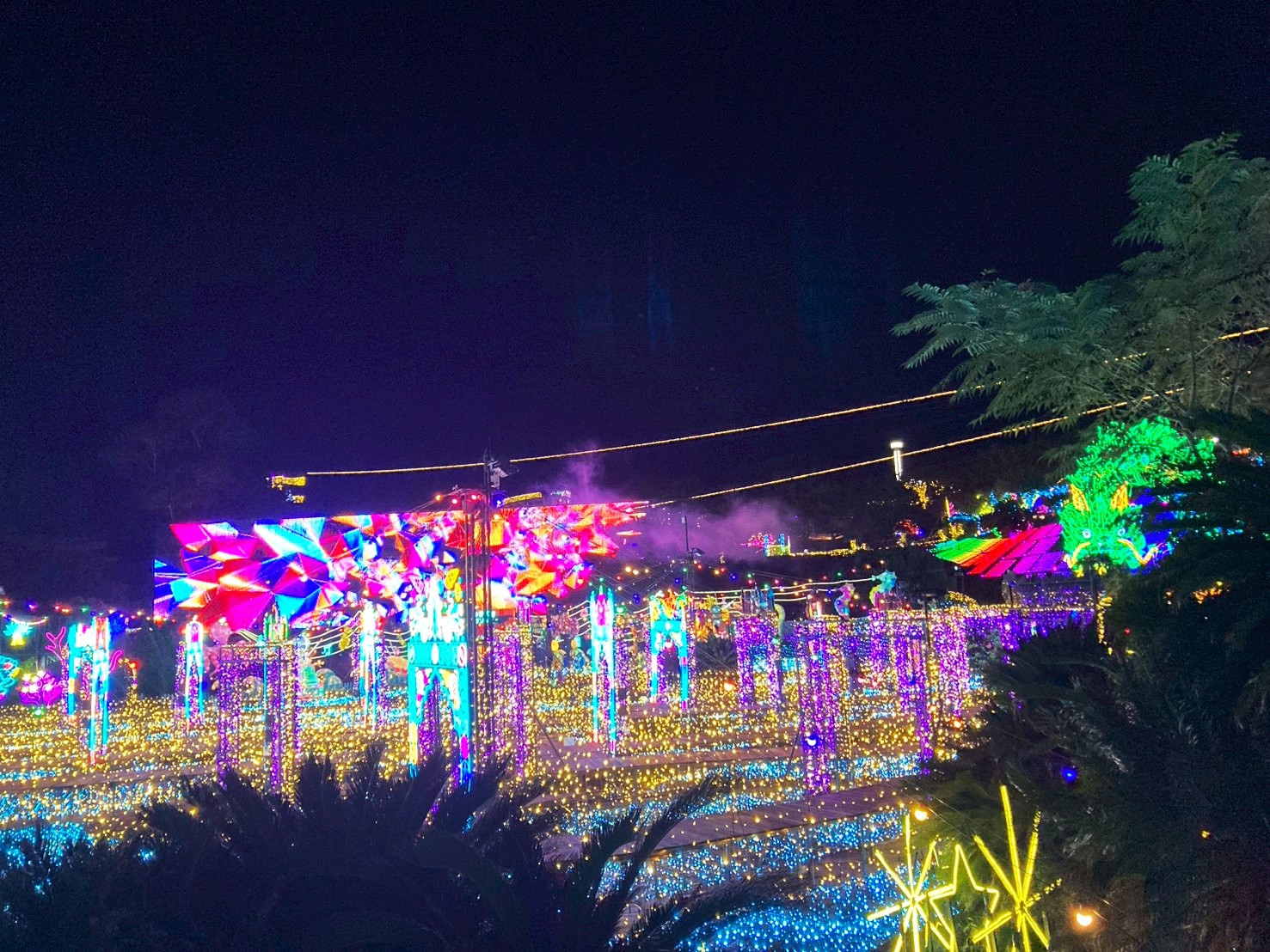 光と冒険の世界へ🌈 伊豆ぐらんぱる公園「グランイルミ」で幻想的な夜を